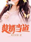 赘婿当道txt下载