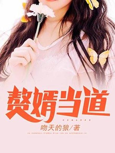 赘婿当道txt下载