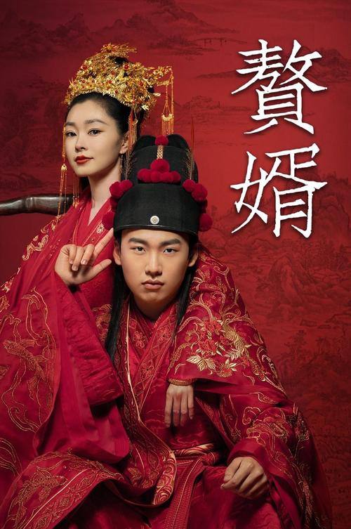 赘婿当道txt下载