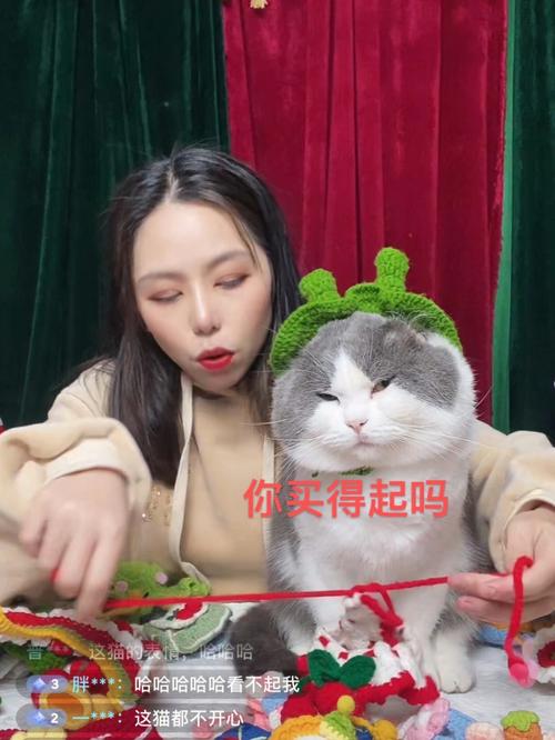 猫咪私人直播间