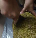 bml3xy2菠萝蜜国际加速通道91