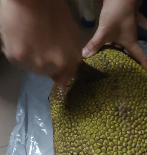 bml3xy2菠萝蜜国际加速通道91