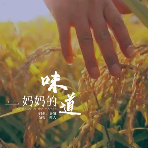 妈妈的味道完整手机版