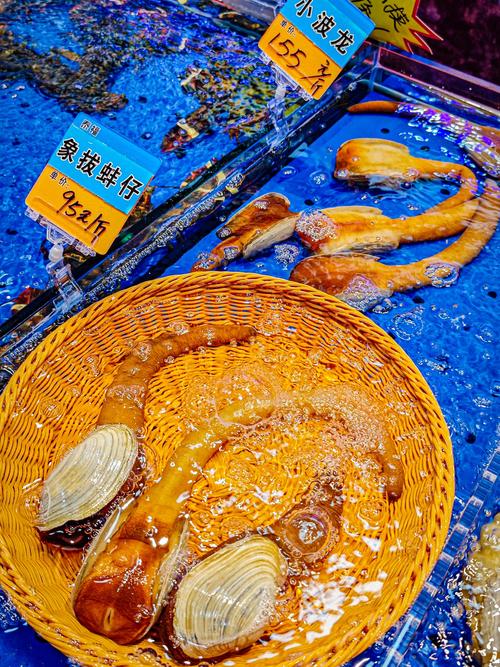 象拔蚌app下载地址