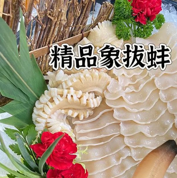 象拔蚌app下载地址