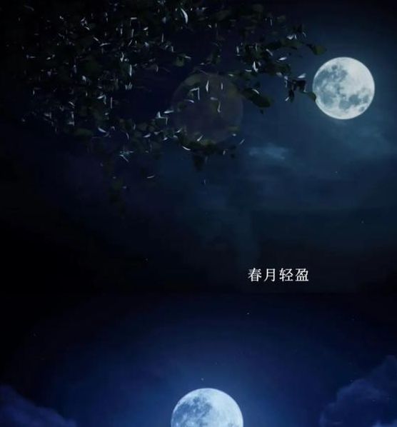 月光视频在线观看免费版