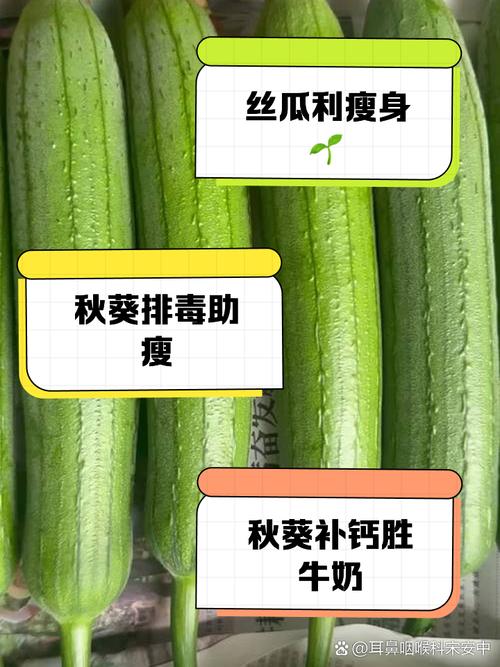 秋葵 茄子 丝瓜 绿巨人大全免费版