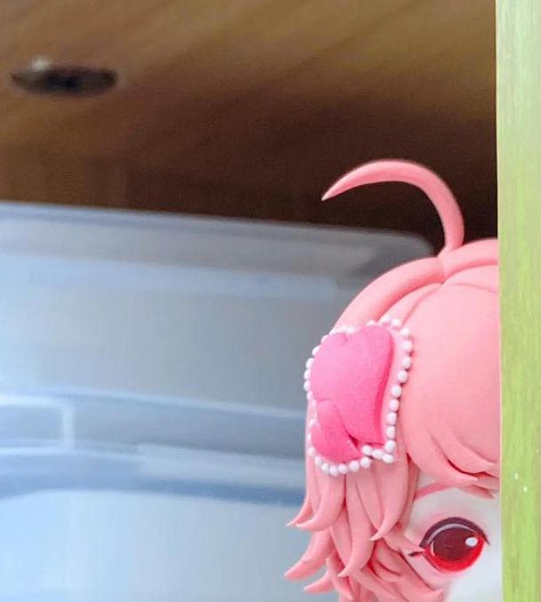 粉色福引导视频