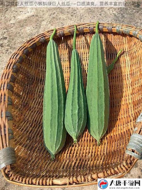 小蝌蚪草莓樱桃丝瓜绿巨人大全