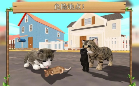 猫咪生存模拟器下载无限金币