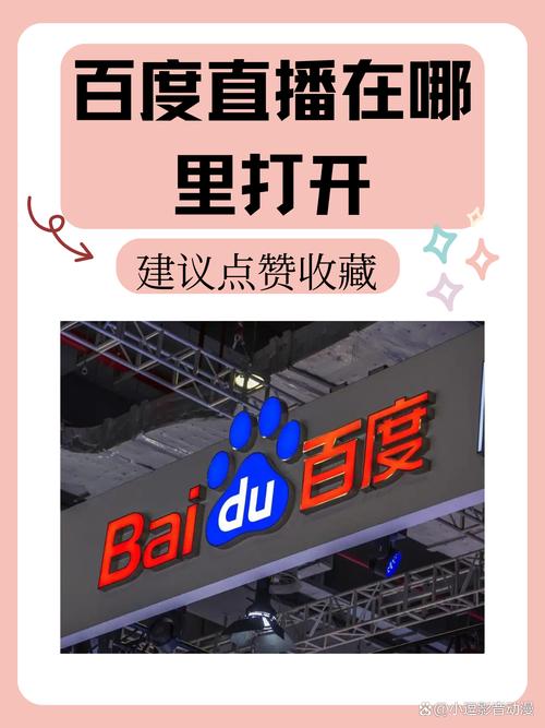 在哪个网站可以看直播