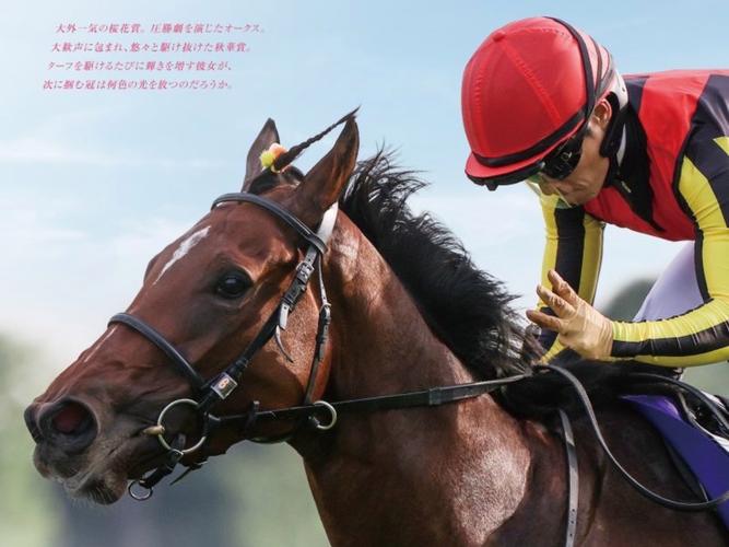 自由岛三年沉淀只做精品