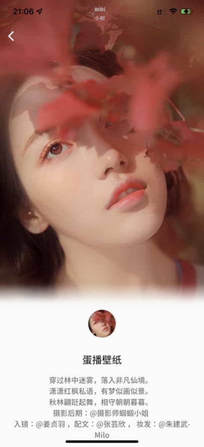 蛋播壁纸2024最新版