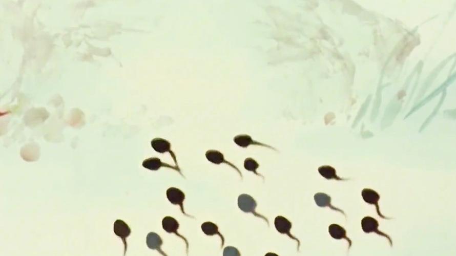 小蝌蚪视频在线观看完整高清版免费