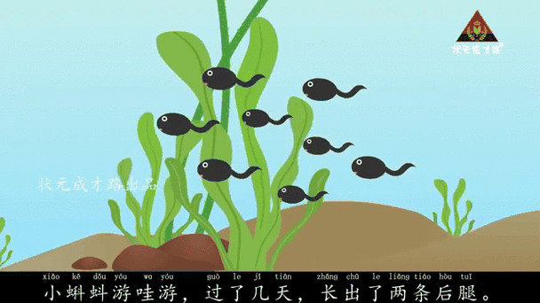 小蝌蚪视频在线观看完整高清版免费