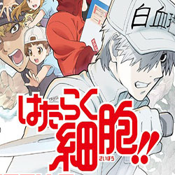 工作细胞black百度云