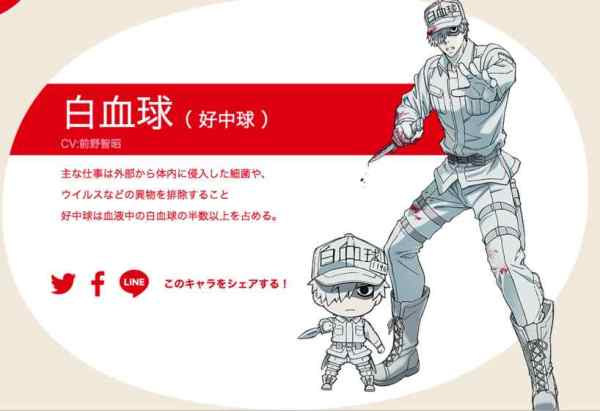 工作细胞black百度云