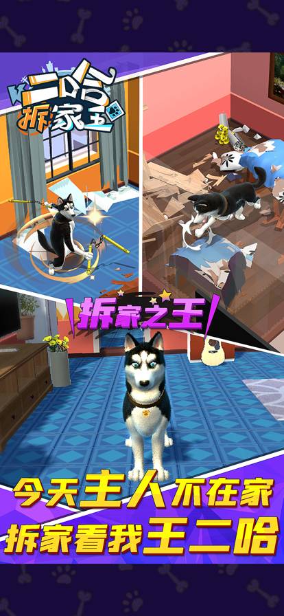 二哈拆家王免费版