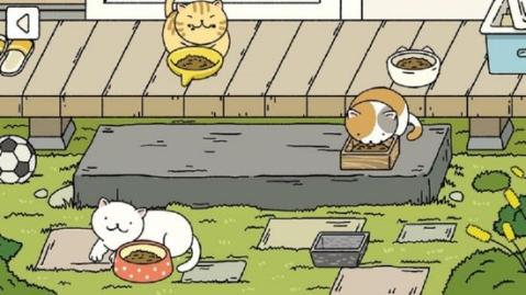 小可爱的家手机版