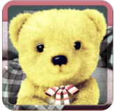会说话的毛绒熊最新版