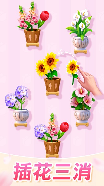 插花消除精简版