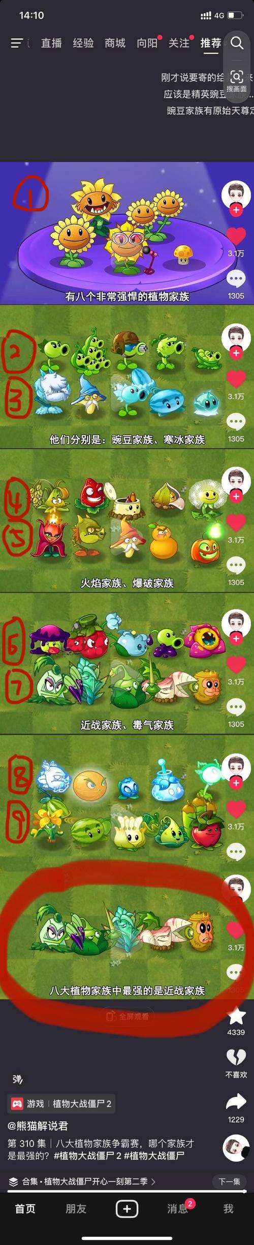 污草莓黄瓜绿巨人丝瓜向日葵