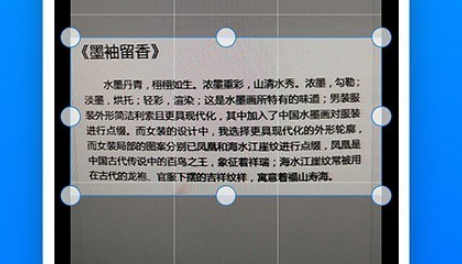 1607323677684377.png 扫描王图片识别