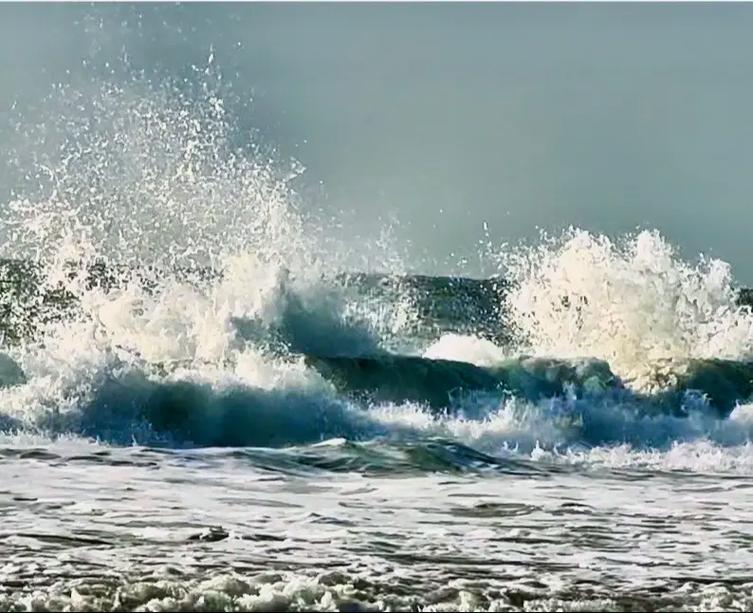 老版无限看千层浪