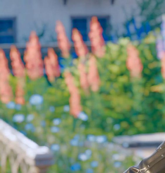 暖暖免费高清中文视频无限观看