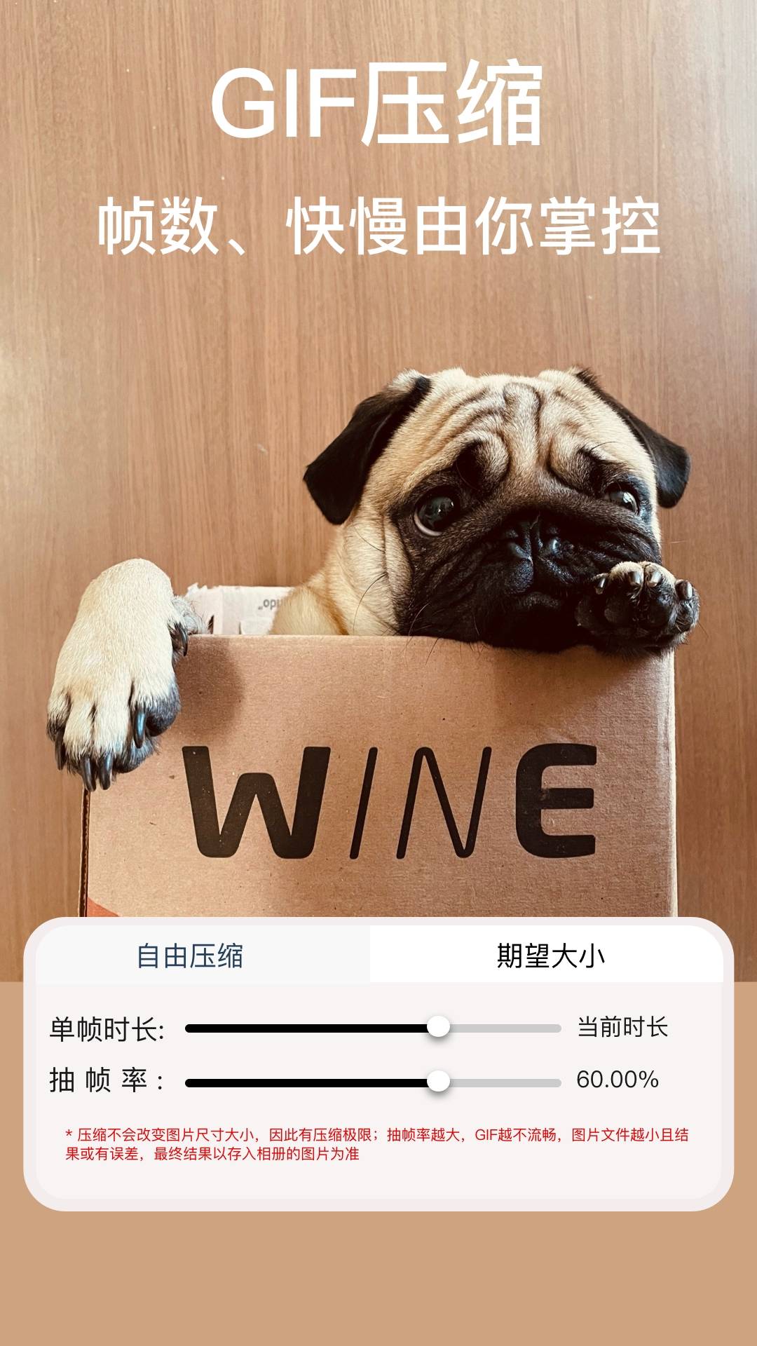 ImgMeta图片压缩专家官网版