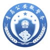 青岛微警务官网版