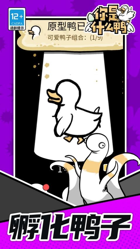 你是什么鸭精简版