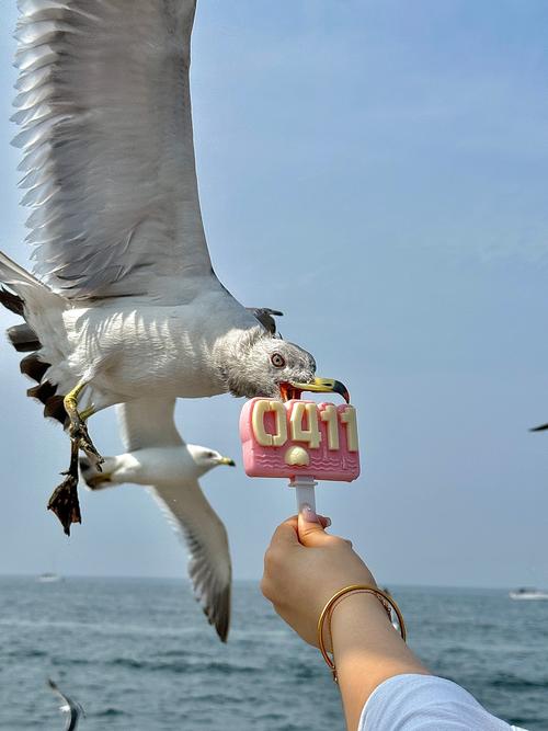 海鸥影视最新版8.2.1