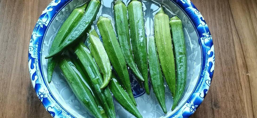 秋葵视频下载安装男人的加油站