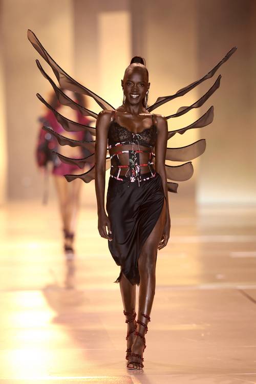 维密秀是什么意思