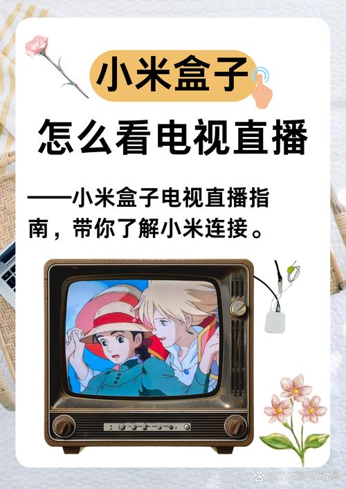 月光盒子之家聚合直播