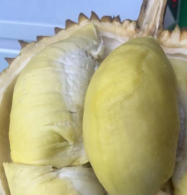 榴莲视频2.0最新版