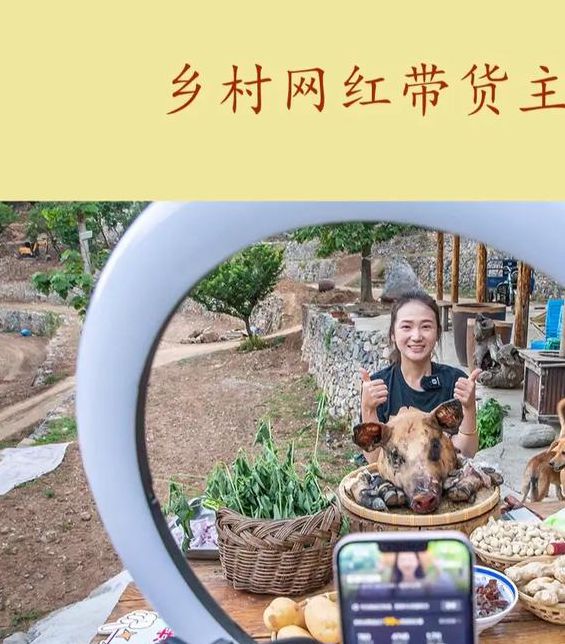 乡村户外直播间