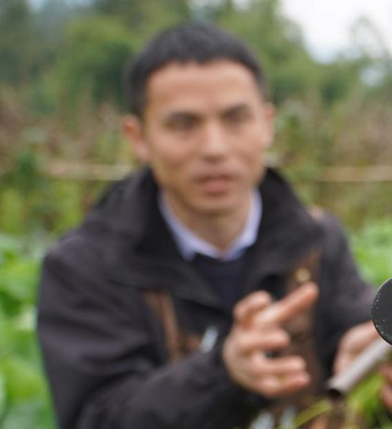 乡村户外直播间