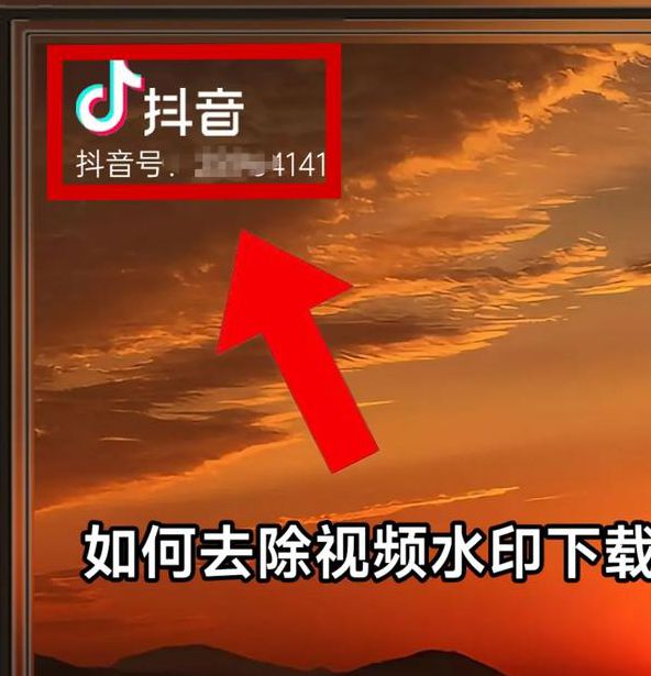 小熊视频去水印