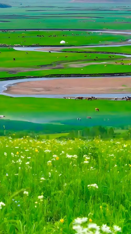 青春草原精品资源视频网站