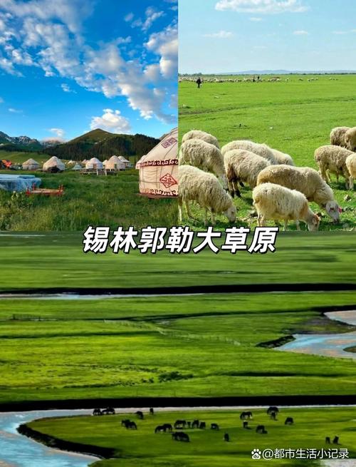 青春草原精品资源视频网站