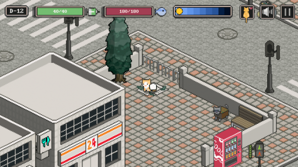 一只流浪猫的故事