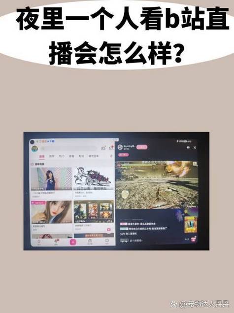 晚上看b站直播软件最新版