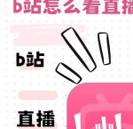 晚上看b站直播软件最新版