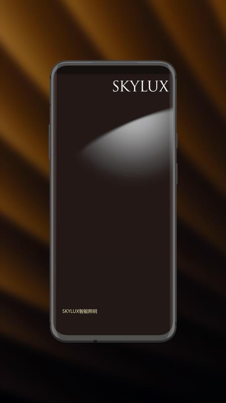 智能照明SK安卓版