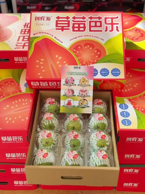 芭乐丝瓜向日葵草莓榴莲