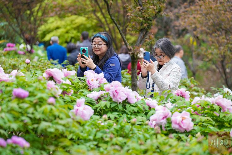 国色天香免费视频