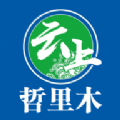 云上哲里木最新版