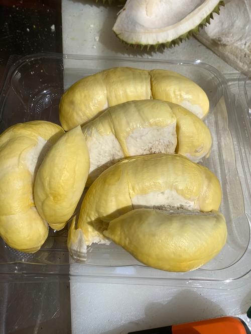 茄子榴莲污在线观看